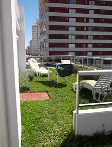 techo jardin, techo verde, azotea verde, cubierta verde, terraza jardin, terrazas verdes, azotea jardin, techo vivo