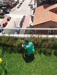 techo jardin, techo verde, azotea verde, cubierta verde, terraza jardin, terrazas verdes, azotea jardin, techo vivo