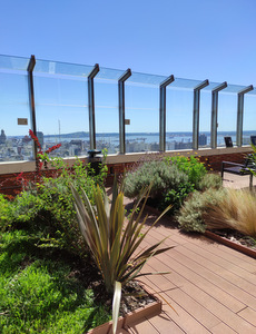 techo jardin, techo verde, azotea verde, cubierta verde, terraza jardin, terrazas verdes, azotea jardin, techo vivo