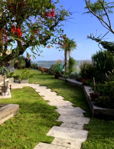 techo jardin, techo verde, azotea verde, cubierta verde, terraza jardin, terrazas verdes, azotea jardin, techo vivo