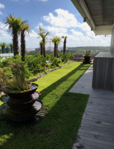 techo jardin, techo verde, azotea verde, cubierta verde, terraza jardin, terrazas verdes, azotea jardin, techo vivo