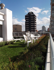 techo jardin, techo verde, azotea verde, cubierta verde, terraza jardin, terrazas verdes, azotea jardin, techo vivo
