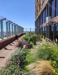 techo jardin, techo verde, azotea verde, cubierta verde, terraza jardin, terrazas verdes, azotea jardin, techo vivo