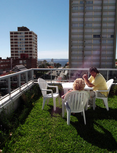 techo jardin, techo verde, azotea verde, cubierta verde, terraza jardin, terrazas verdes, azotea jardin, techo vivo
