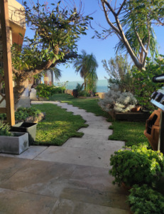 techo jardin, techo verde, azotea verde, cubierta verde, terraza jardin, terrazas verdes, azotea jardin, techo vivo