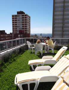 techo jardin, techo verde, azotea verde, cubierta verde, terraza jardin, terrazas verdes, azotea jardin, techo vivo