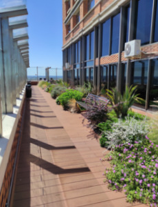 techo jardin, techo verde, azotea verde, cubierta verde, terraza jardin, terrazas verdes, azotea jardin, techo vivo