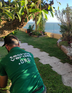 techo jardin, techo verde, azotea verde, cubierta verde, terraza jardin, terrazas verdes, azotea jardin, techo vivo