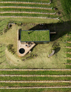 techo jardin, techo verde, azotea verde, cubierta verde, terraza jardin, terrazas verdes, azotea jardin, techo vivo
